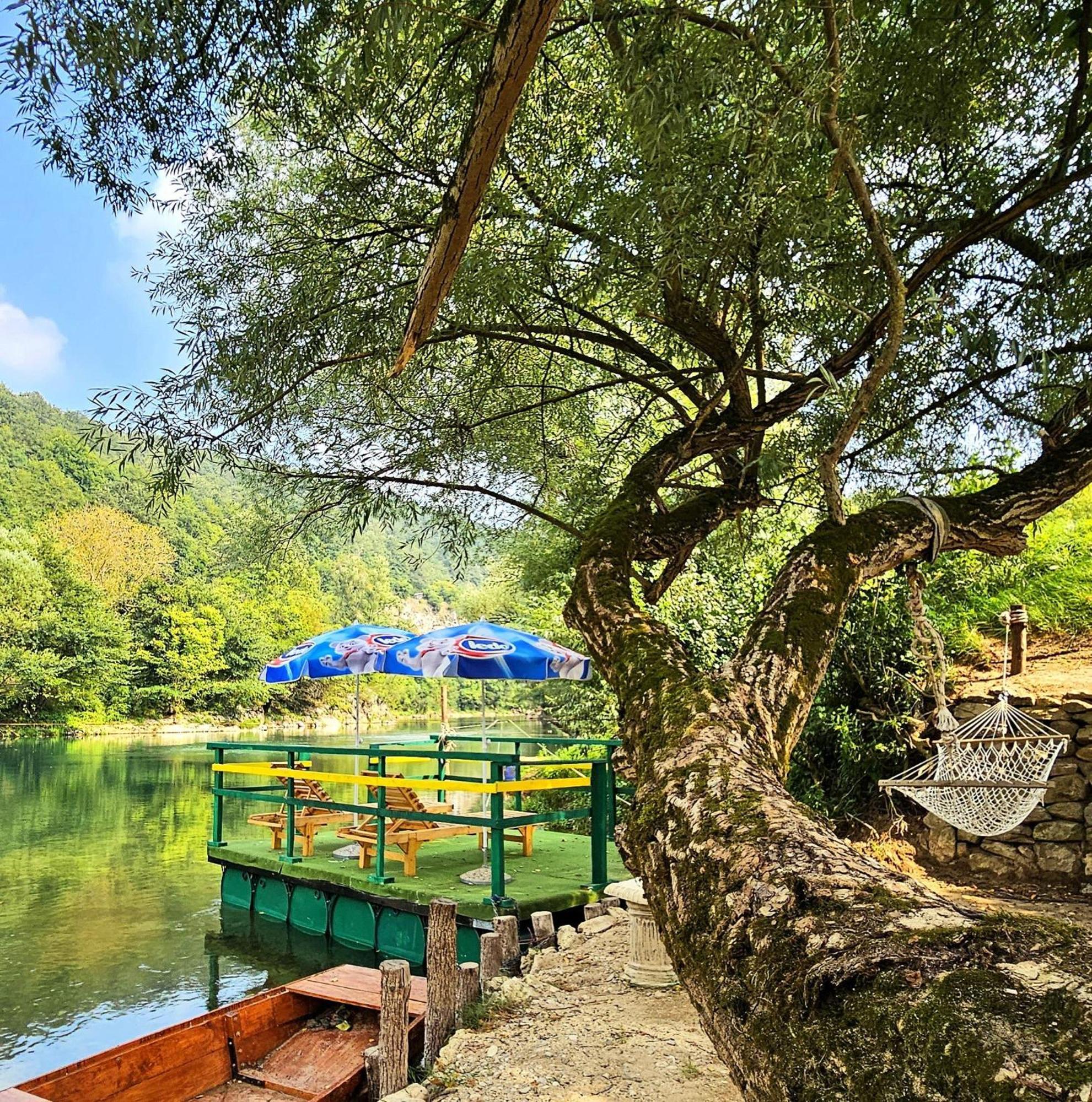 Kuca Za Odmor Ceif Villa Dropci Bagian luar foto